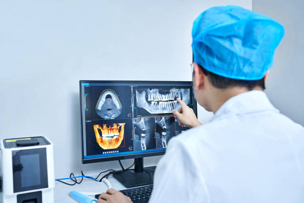 Best Emergency X-Rays and Diagnostics in Puget Island, WA
